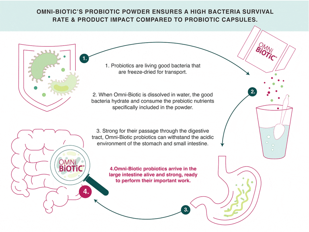 omni biotic powder effectiveness illustration