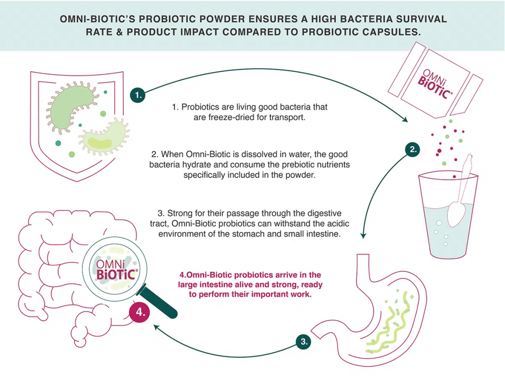 bacterial survival