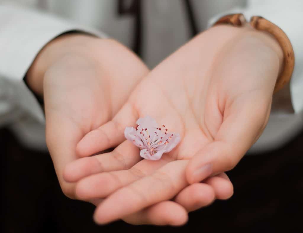 close-up-photo-of-a-delicate-flower-held-in-the-palm-of-a-womans-hand