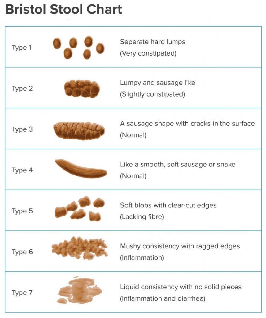 The Bristol stool chart showing different types of poop.