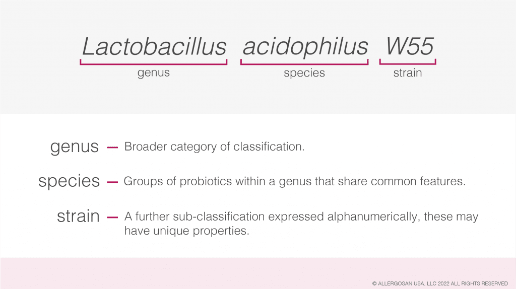 genus species strain explaination