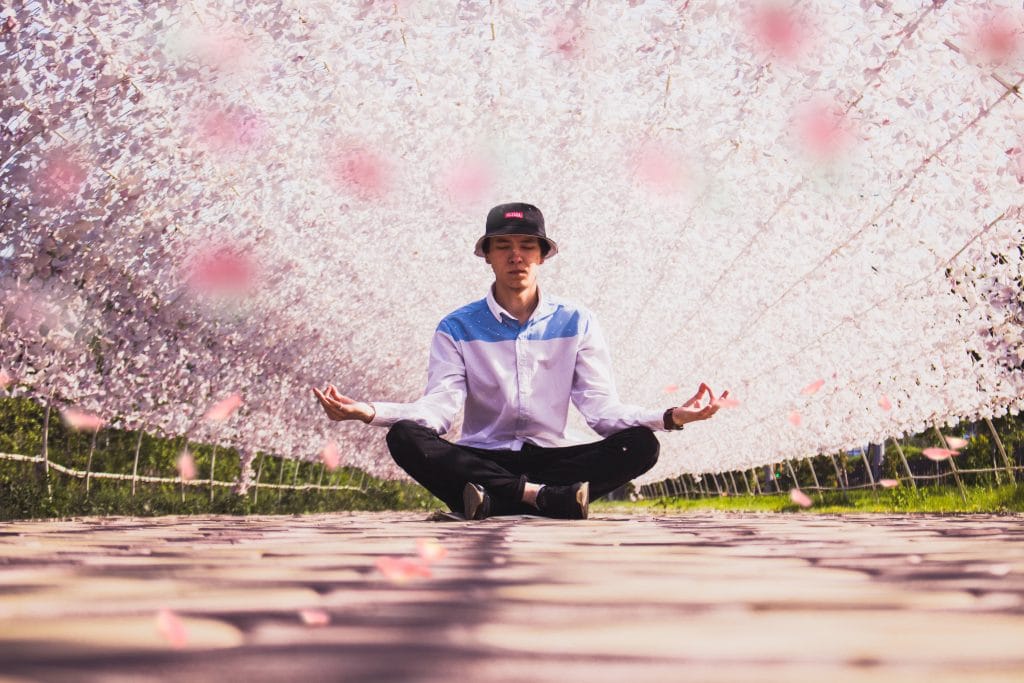 man-meditating-in-the-middle-of-pathway-under-canopy-of-cherry-blossoms