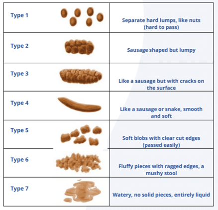 bristol-stool-chart