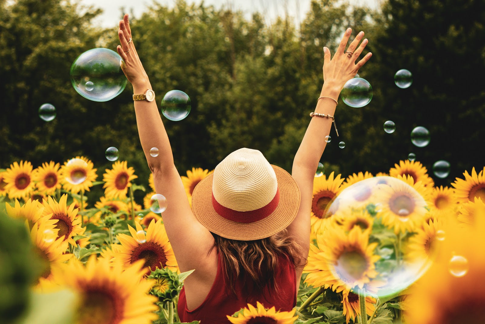 photography-of-woman-surrounded-by-sunflowers-with-raised-arms