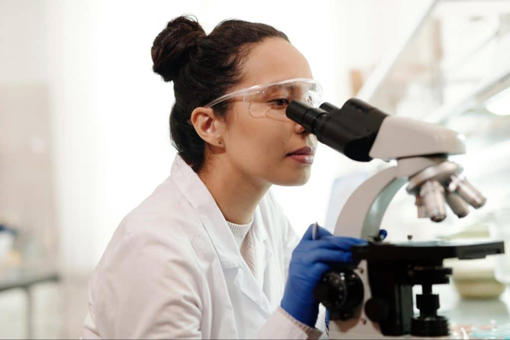 Scientist uses microscope to view probiotic bacteria.